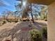 Beautiful backyard with desert landscaping, mature trees, and well-kept shrubs at 9437 January Dr, Las Vegas, NV 89134