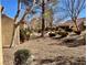 Lush backyard featuring desert landscaping with mature trees and shrubbery at 9437 January Dr, Las Vegas, NV 89134