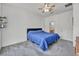 Bedroom features a cozy blue comforter, gray carpet, ceiling fan, and floating shelves at 3491 Argiento Ave, Henderson, NV 89044