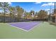 Outdoor community tennis court with green and purple surface and surrounding trees at 260 E Flamingo Rd # 311, Las Vegas, NV 89169