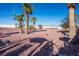 Expansive backyard with desert landscaping, mature palm trees, and clear blue sky at 3157 Faiss Dr, Las Vegas, NV 89134