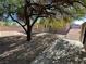 A landscaped backyard with a large tree, gravel, brick pavers, and a storage shed at 4816 Greencreek Dr, Las Vegas, NV 89110