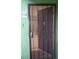 A secure front door with decorative security screen, framed by an exterior wall in green at 7950 W Flamingo Rd # 1139, Las Vegas, NV 89147