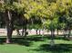 Peaceful park view with mature trees offering plenty of shade over the green lawn at 2451 Muirfield Ave, Henderson, NV 89074