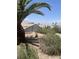 Backyard featuring desert landscaping, mature shrubs, and a partial view of the surrounding neighborhood at 2341 Celestial Moon St, Henderson, NV 89044