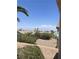 View of the backyard with desert landscaping, shrubs, palm trees, and scenic neighborhood views at 2341 Celestial Moon St, Henderson, NV 89044