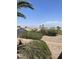 Spacious backyard with mature landscaping and desert plants, with neighborhood views at 2341 Celestial Moon St, Henderson, NV 89044