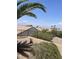 Backyard showcasing desert landscaping, mature shrubs, and neighborhood views at 2341 Celestial Moon St, Henderson, NV 89044