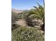 Low-maintenance backyard with desert landscaping and lush shrubs provides a private outdoor space at 2341 Celestial Moon St, Henderson, NV 89044