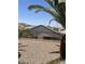 Landscaped backyard featuring desert rock and privacy fencing with palm trees at 2341 Celestial Moon St, Henderson, NV 89044