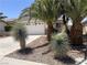 View of the front yard, highlighting the xeriscape landscaping and mature palm trees at 2341 Celestial Moon St, Henderson, NV 89044