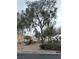 Picturesque street framed by mature trees and meticulously maintained shrubbery at 9527 Havasu Canyon Ave, Las Vegas, NV 89166