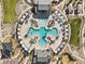 Aerial view of a stylish community pool with lounge chairs and umbrellas, ideal for relaxation at 6855 Evening Orchid St, North Las Vegas, NV 89086