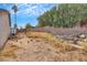 Spacious backyard featuring a large brick wall and overgrown vegetation under a partially cloudy sky at 700 Northstar St, Las Vegas, NV 89107