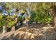 Shady path with trees and shrubs in a beautiful natural setting at 2107 Eaglepath Cir, Henderson, NV 89074