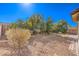 Low-maintenance backyard with desert landscaping and gravel accents under a clear blue sky at 5891 Alfano Ave, Pahrump, NV 89061