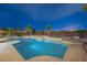 Inviting backyard pool with tanning shelves, desert landscaping, and mature palm trees at 9795 La Cienega St, Las Vegas, NV 89183