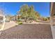 Landscaped backyard featuring desert rock and mature trees, creating a private and serene outdoor space at 2554 Corvus St, Henderson, NV 89044