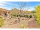 View of the desert landscaping in the backyard and covered patio area at 379 Turquoise Ct, Boulder City, NV 89005