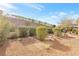 Backyard with desert landscaping at 379 Turquoise Ct, Boulder City, NV 89005