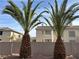 A pair of palm trees stand in a xeriscaped backyard with desert landscaping at 11118 Scotscraig Ct, Las Vegas, NV 89141