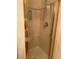 Shower stall enclosed with gold trim and a hand held shower head at 11118 Scotscraig Ct, Las Vegas, NV 89141