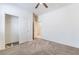 Bedroom featuring plush carpeting, a ceiling fan, and a closet with convenient shelving at 2910 Ventana Ridge Ave, Henderson, NV 89044