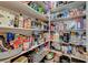 Walk-in pantry with an abundance of shelving, offering ample storage for food and household goods at 344 E Rush Ave, Las Vegas, NV 89183