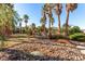 Lush backyard featuring mature palm trees, desert landscaping, and a small bridge at 4245 N Campbell Rd, Las Vegas, NV 89129