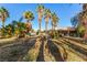 Property with multiple palm trees providing shade in the backyard at 4245 N Campbell Rd, Las Vegas, NV 89129