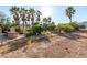 Spacious backyard featuring palm trees and desert landscaping at 4245 N Campbell Rd, Las Vegas, NV 89129