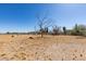 Large backyard with a bare tree in view, presenting a blank canvas for landscaping and outdoor enjoyment at 4530 W Maulding Ave, Las Vegas, NV 89139