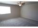 Cozy bedroom featuring neutral walls, plush carpeting, and a large window for natural light at 5269 Acadia Leaf St, Las Vegas, NV 89166