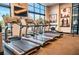 Modern gym featuring treadmills, rowing machines, and a wall of windows offering natural light and beautiful views at 6801 Steel Mist St, Las Vegas, NV 89148