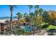 Palm trees add privacy to the beautiful pool area for community residents at 378 Colleen Ct # G, Mesquite, NV 89027