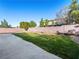 Spacious backyard featuring lush green grass and a concrete patio area, perfect for outdoor enjoyment at 6360 Bullring Ln, Las Vegas, NV 89130