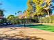 Outdoor pickleball court with green and tan surface surrounded by lush greenery at 2556 Palmera Cir, Las Vegas, NV 89121