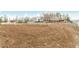 Large backyard with cleared land and the perfect space to customize as you see fit at 3051 S Rainbow Ave, Pahrump, NV 89048
