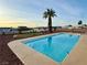 Refreshing swimming pool with a palm tree, desert landscaping, and neighborhood views at 308 Cannes St, Henderson, NV 89015
