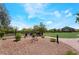 Beautiful community park featuring a walking path, grass, and mature trees at 7029 Parrot Bay Way, Las Vegas, NV 89118