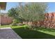Private backyard featuring an artificial lawn, mature landscaping, and brick accents at 10057 Regency Canyon Way, Las Vegas, NV 89148