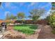 This backyard features a well-kept lawn, decorative rock, and a built in bbq at 10313 Aragon Crown Rd, Las Vegas, NV 89135