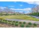 Expansive green community park area perfect for recreation and leisure activities at 301 Treehouse Ct, Henderson, NV 89012