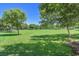 Picturesque view of the community park featuring a wide green lawn with mature trees at 301 Treehouse Ct, Henderson, NV 89012