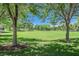 Community park featuring a large grassy field, mature shade trees, and lush greenery for outdoor activities at 301 Treehouse Ct, Henderson, NV 89012