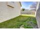 Side yard showing green grass between house and fence at 3431 Iberia St, Las Vegas, NV 89146