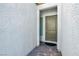 Charming entryway features a textured wall and a stylish front door at 351 Dandelion Brook Ct Ct, Las Vegas, NV 89148