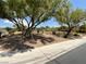 Nicely landscaped community area with mature trees and walkway at 7719 Windy Meadow Ave, Las Vegas, NV 89178