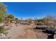 Backyard garden area featuring multiple trees, plantings and gravel walkways at 8290 Gagnier Blvd, Las Vegas, NV 89113