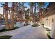 Beautiful backyard with a pool and a lush landscape of tall palm trees at 2818 E Quail Ave, Las Vegas, NV 89120